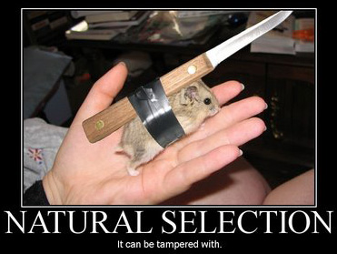 natural-selection1