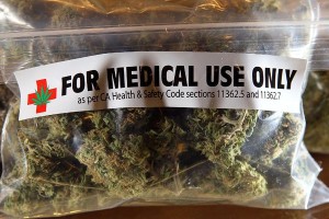 Medical Marijuana Growers Get Jail Time